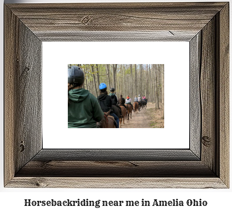 horseback riding near me in Amelia, Ohio